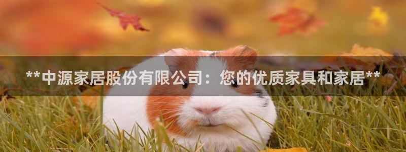 ug环球视讯