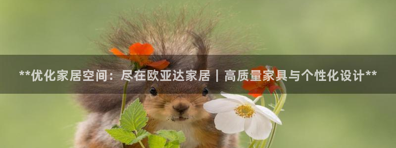 UG环球假网合作