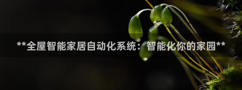 ug环球视讯充值