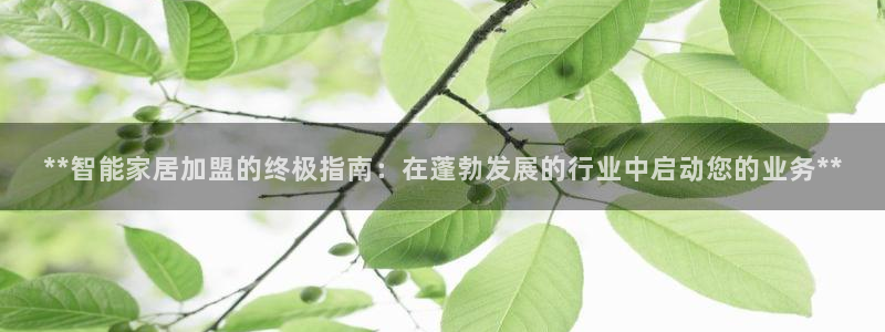 ug环球官网会员