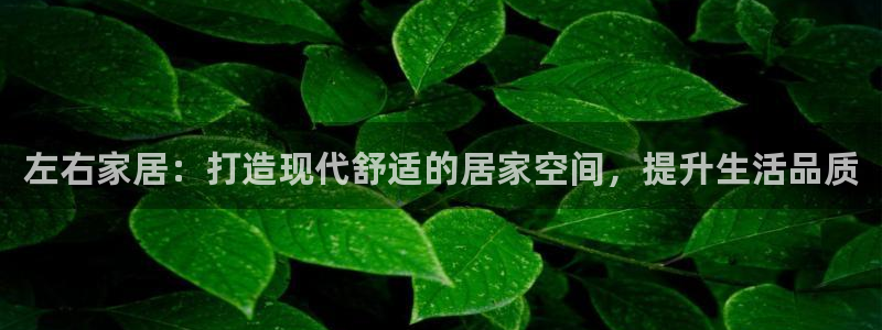 ug环球官网会员注册