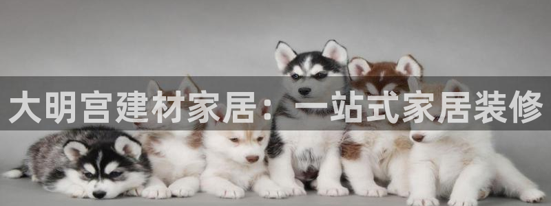 ug环球视讯官网