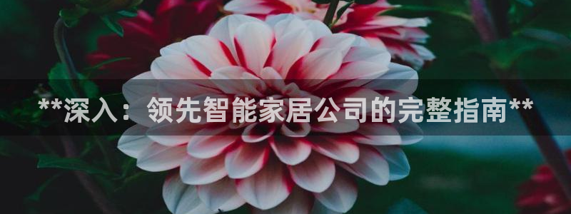 ug环球360官网