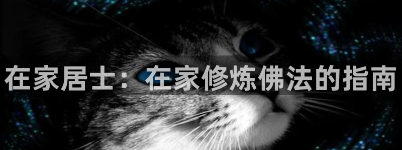 ug环球会员