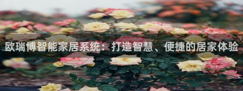 ug环球官网入口
