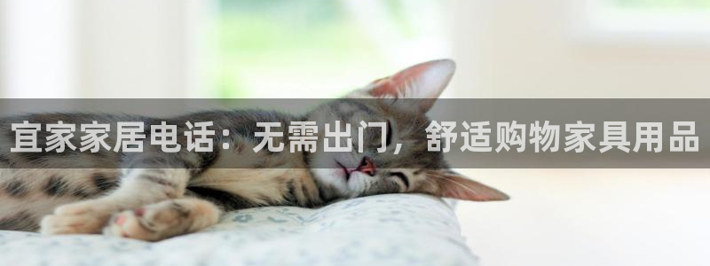 ug环球代理