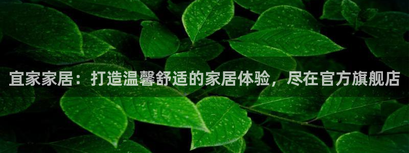 ug环球会员登陆