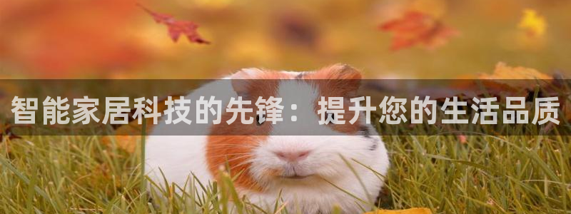 UG环球视讯