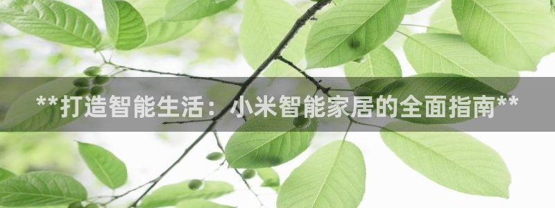 ug环球代理平台
