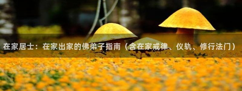 ug环球网