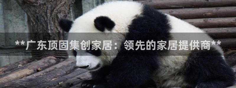 ug环球代理