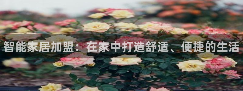 ug环球app下载