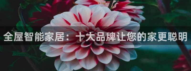 ug环球地址在哪里