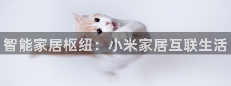UG环球会员官方