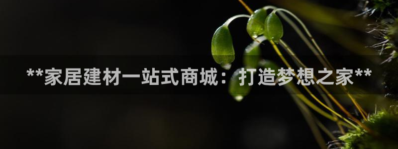 ug环球包杀网一比一