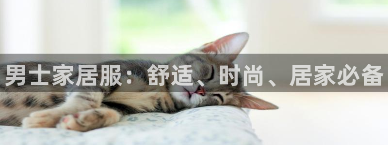 UG环球代理
