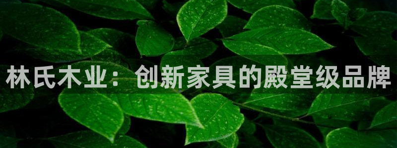 ug环球信用盘