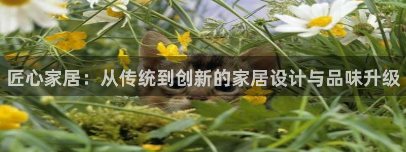 ug环球视讯手机版官网