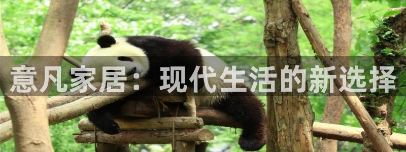 UG环球视讯