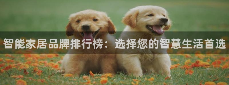 ug环球视讯