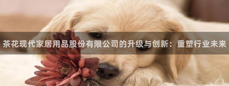 ug环球网