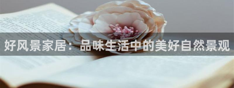 UG环球代理