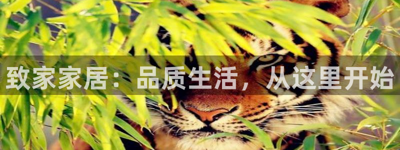 ug环球正网包杀