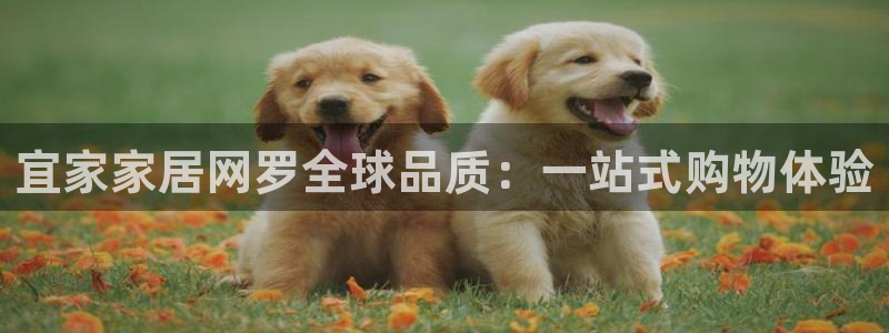 Ug环球网网址