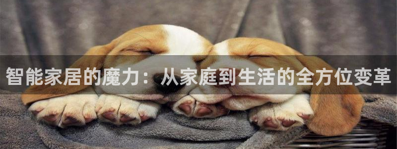UG环球视讯下载