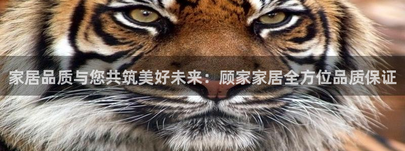 ug环球假网一比一