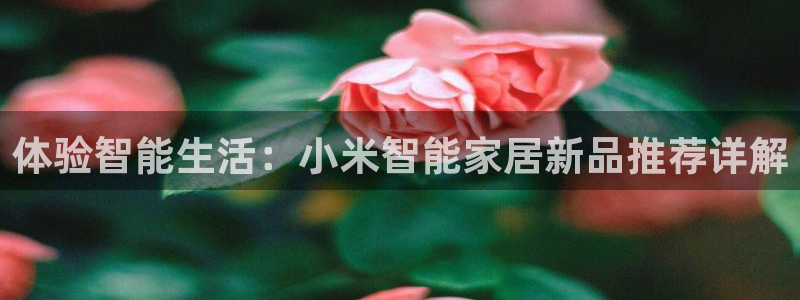 UG环球官方网