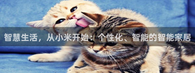 ug环球视讯真假