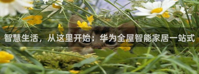 ug环球网