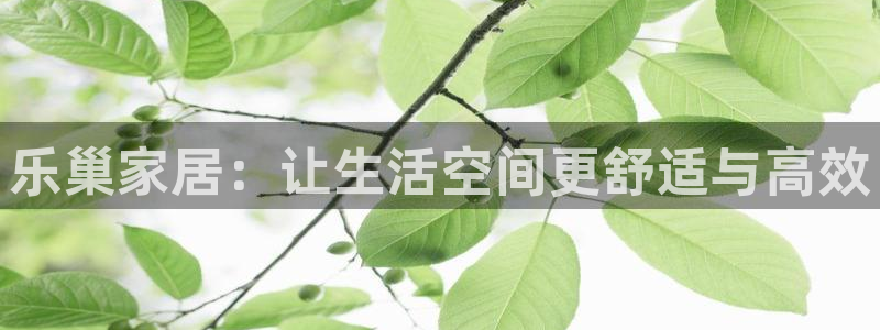 Ug环球网网址