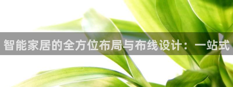 UG环球1比一