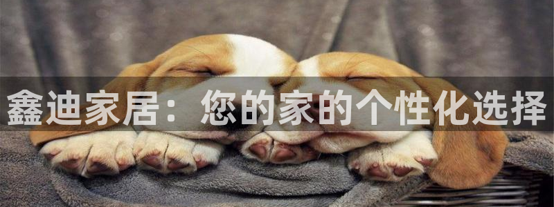 ug环球正网买分