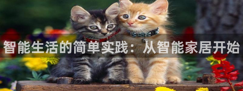 ug环球视讯延时软件