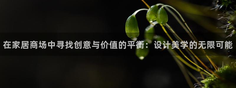 ug环球代理平台官网：在家居商场中寻找创
